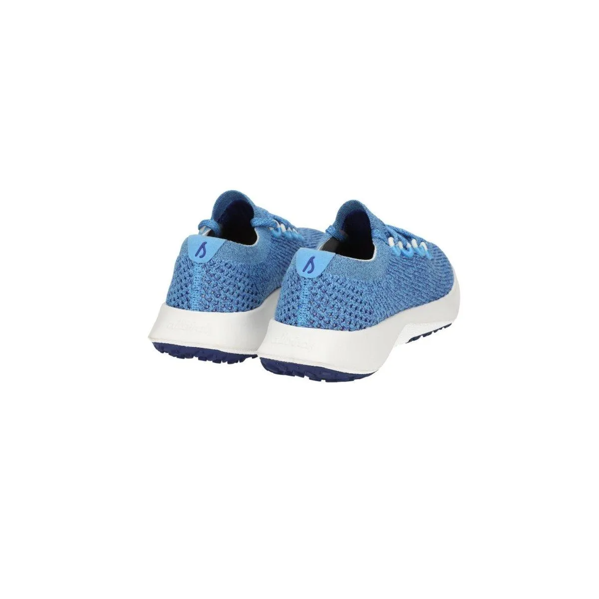 Allbirds Tree Dasher 2 Running Sport Shoes Knit Fabric Blue Colour For Women