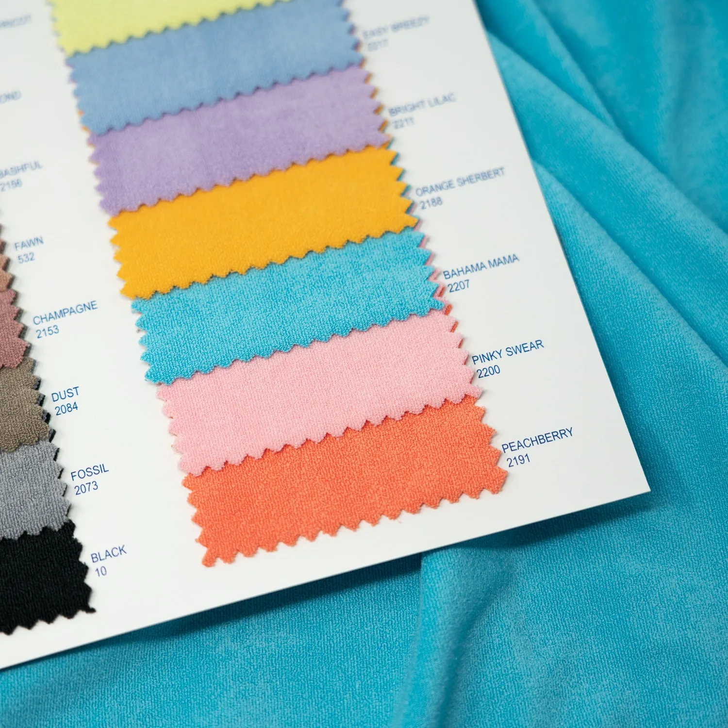 Cozy Polyester Spandex Terry Color Card | Blue Moon Fabrics