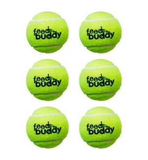 Feed Buddy Tennis Ball (Pack Of 6)