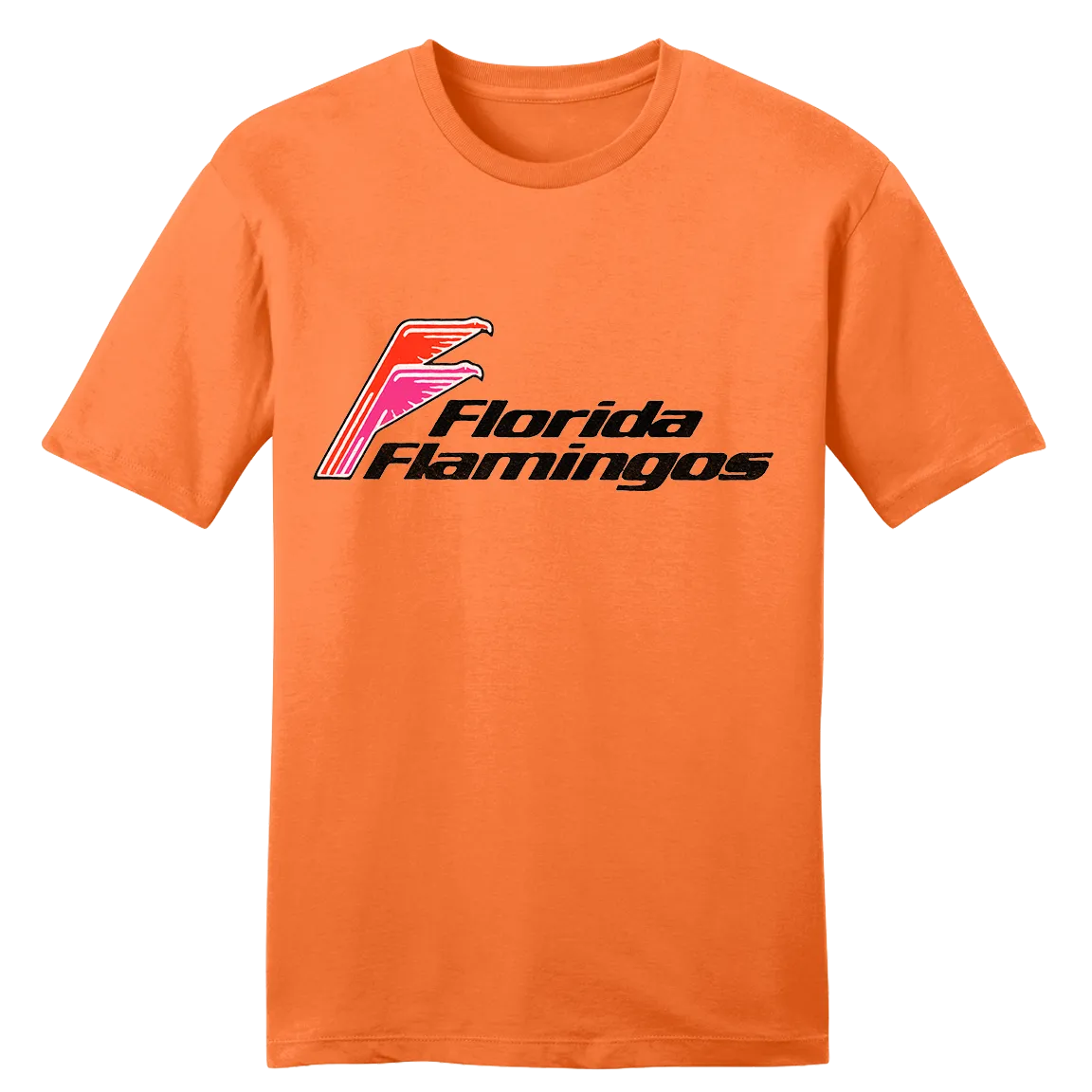 Florida Flamingos