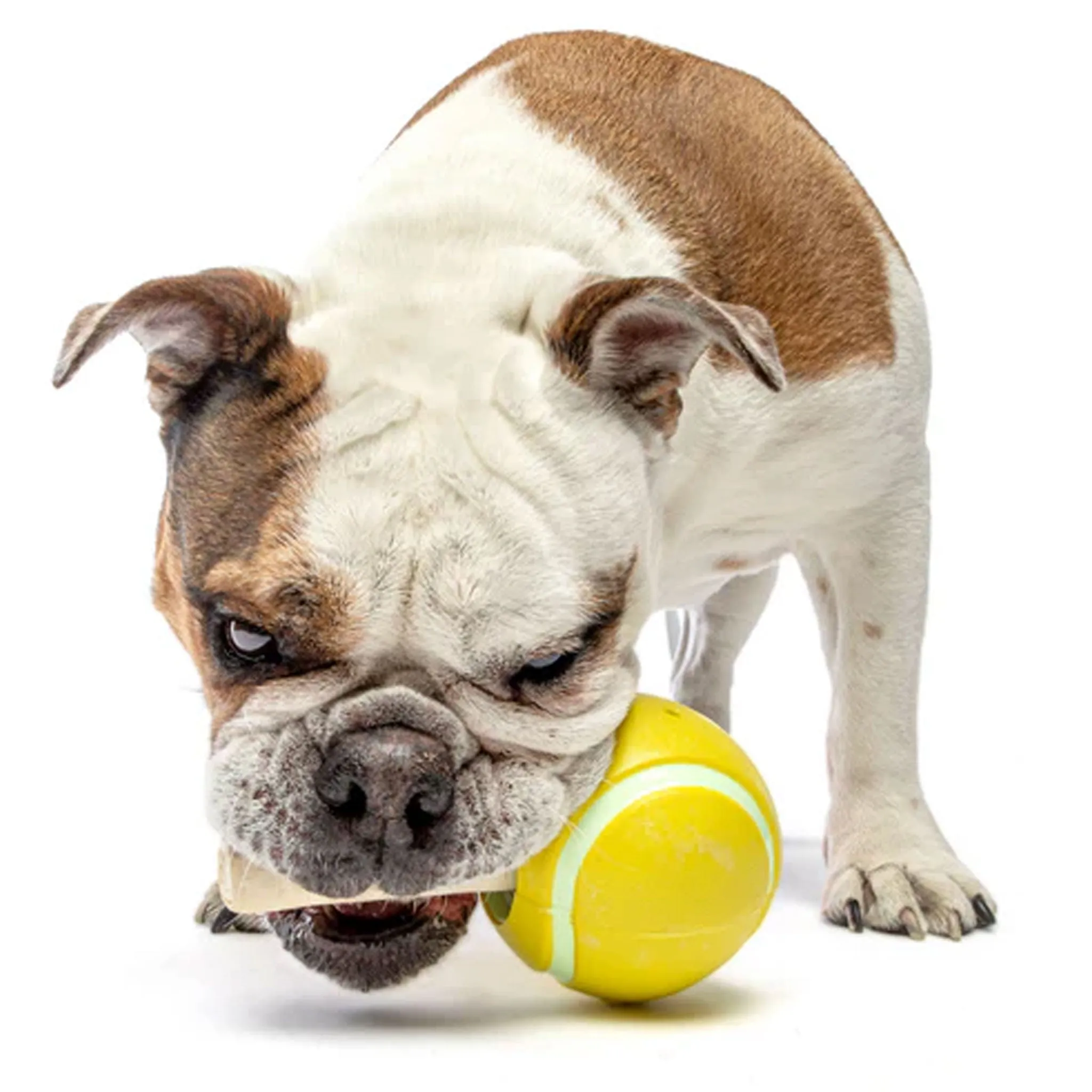 Guru Tennis Treat Ball Dog Toy