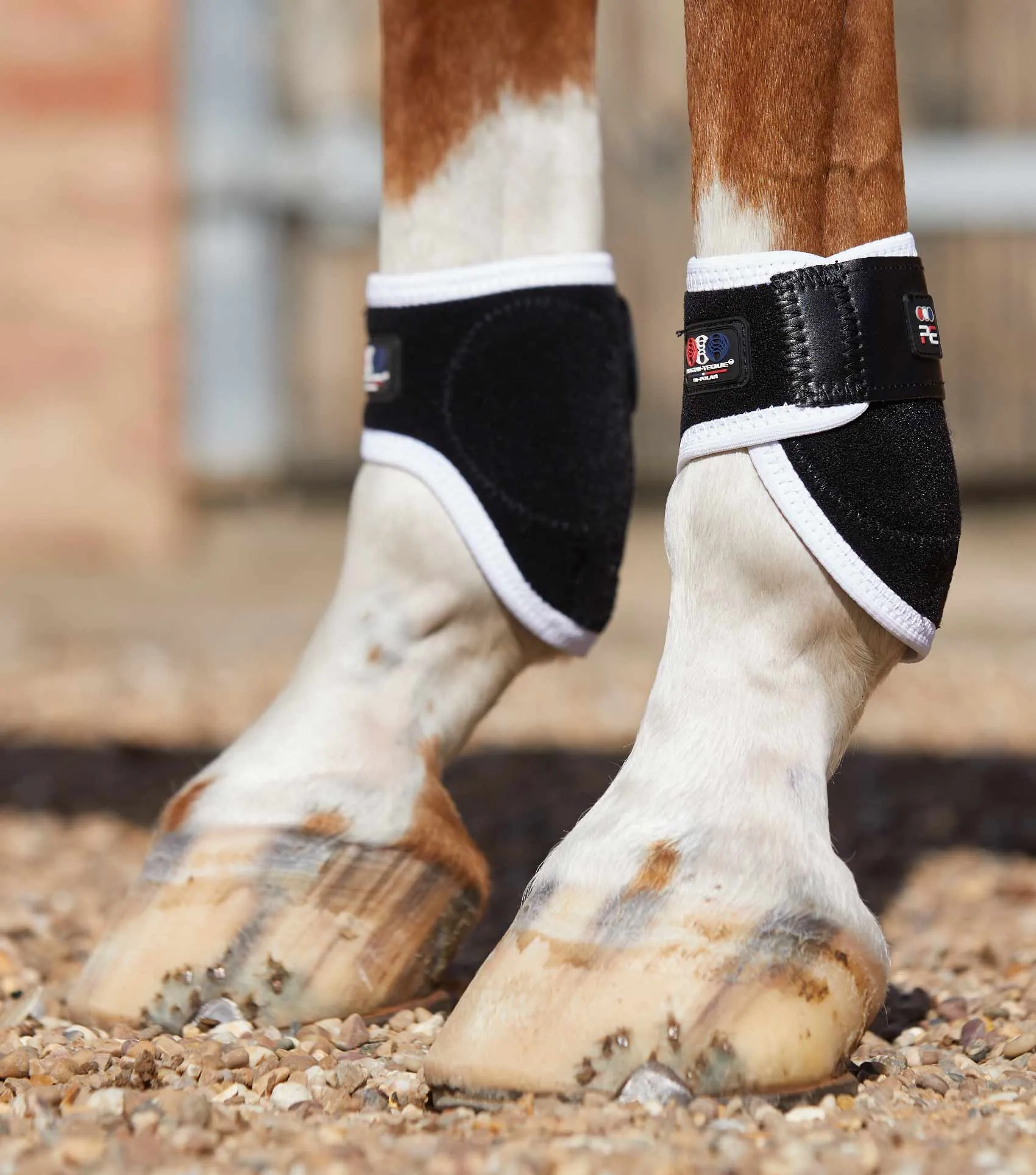 Magni-Teque Magnetic Fetlock Boots