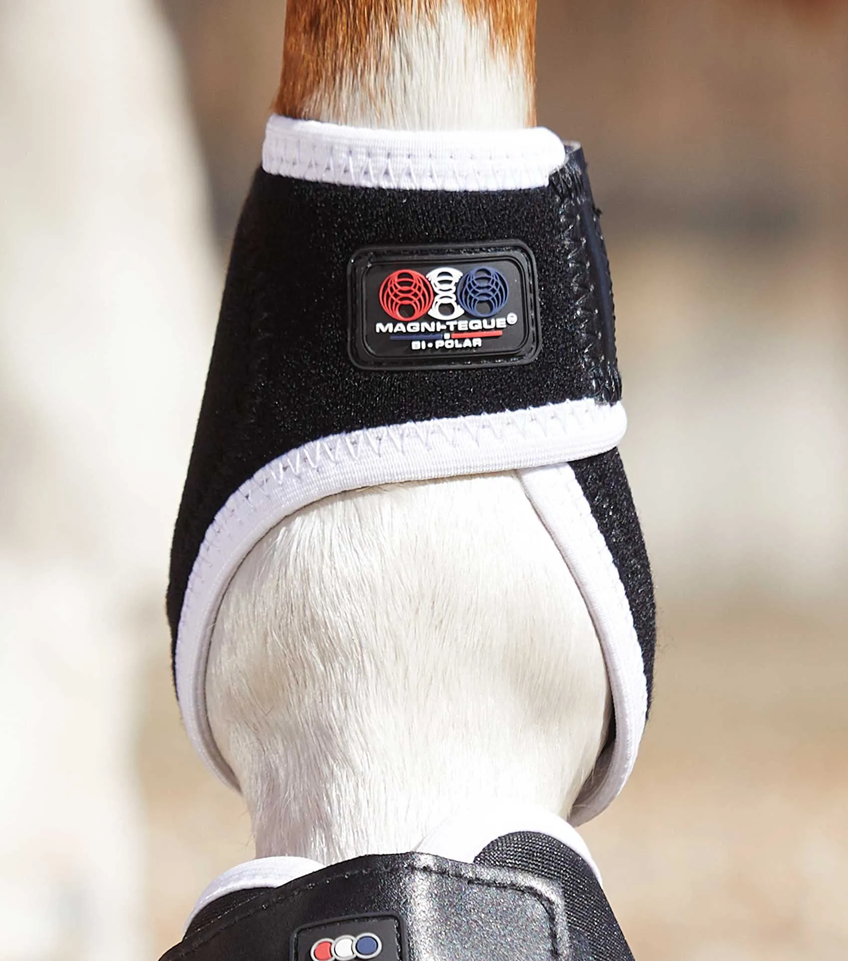 Magni-Teque Magnetic Fetlock Boots