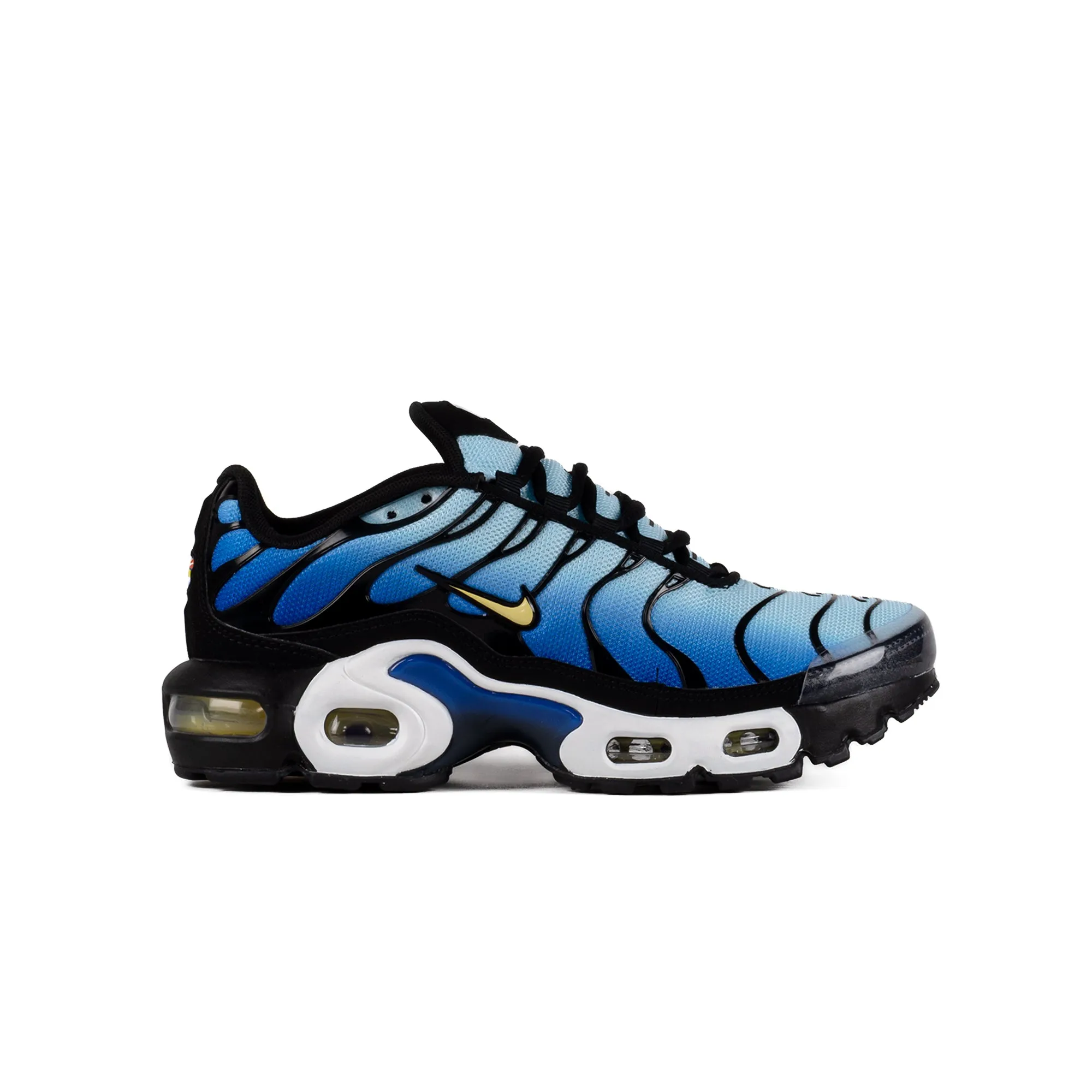 Nike Air Max Plus (GS) Black/Chamois/Sky Blue/Hyper Blue CD0609-032