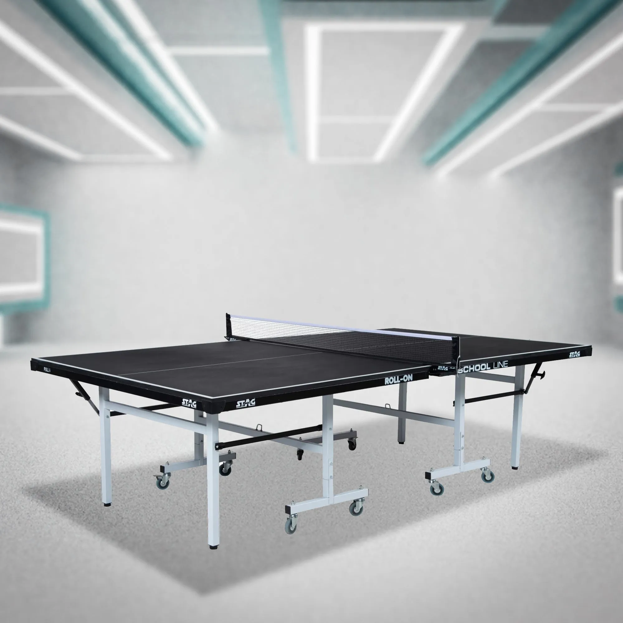 Stag School Line Table Tennis Table