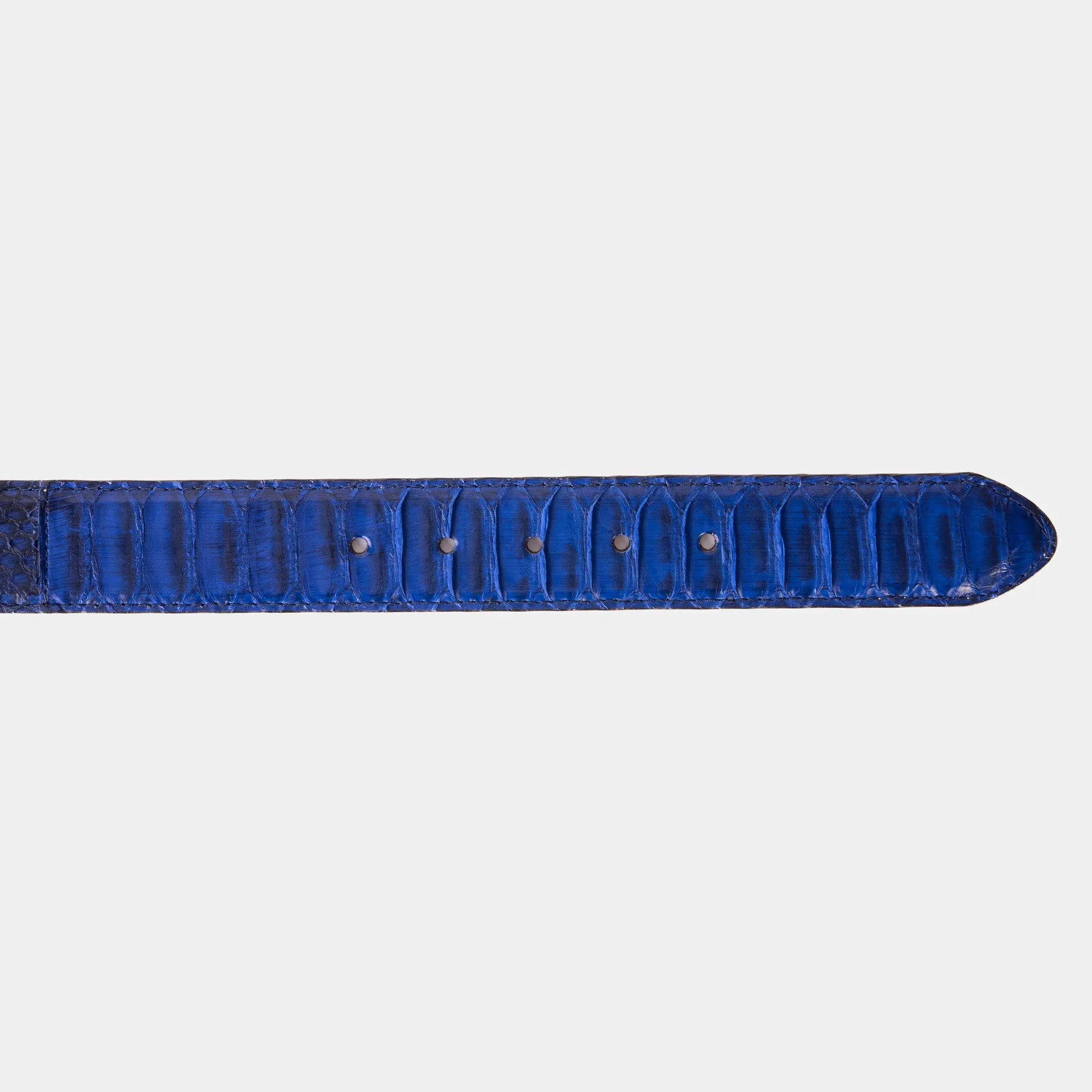 The Boss Navy Blue Pythn Snk Leather Belt